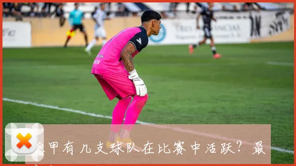 德甲有几支球队在比赛中活跃？最新数据统计