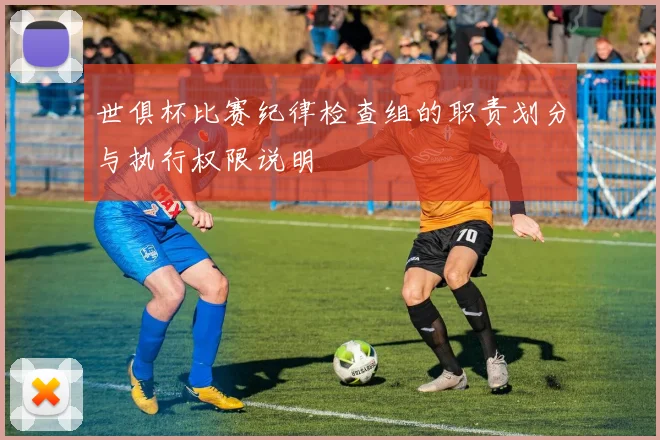 世俱杯比赛纪律检查组的职责划分与执行权限说明